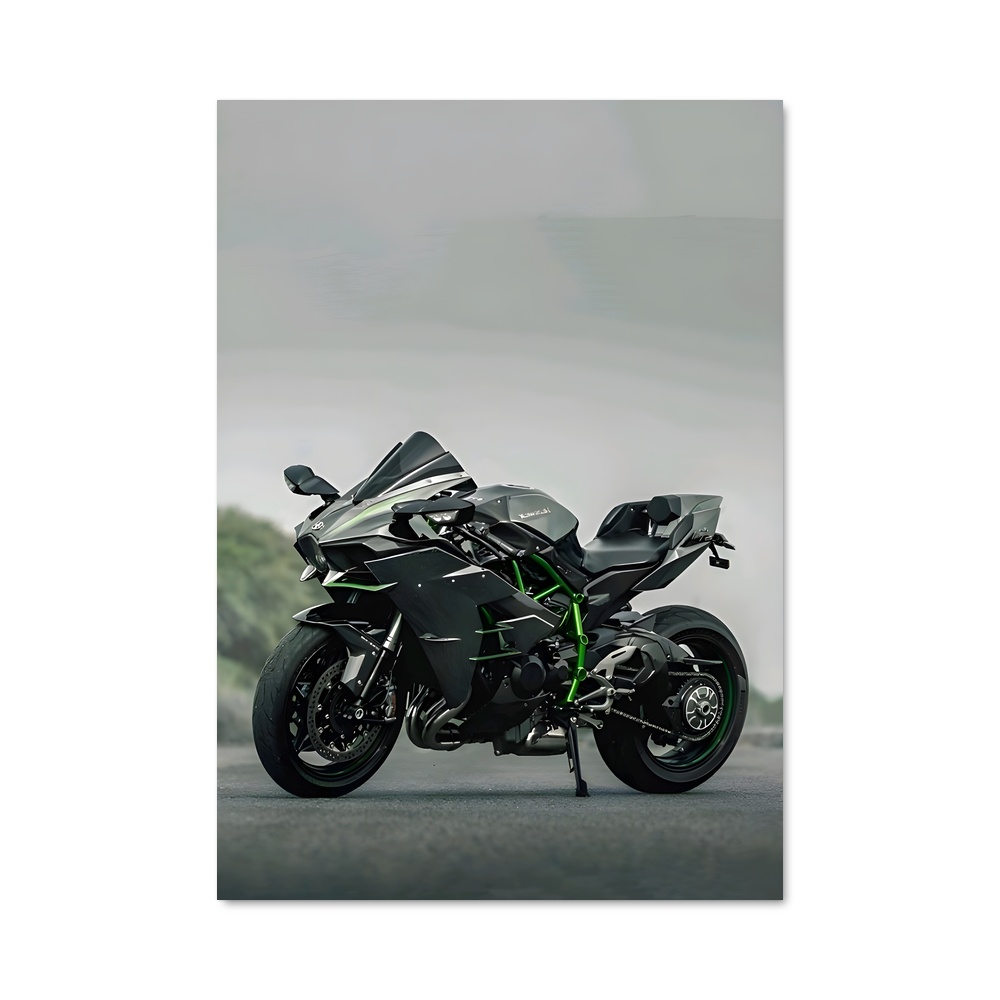 Poster Héros Ninja énigmatique